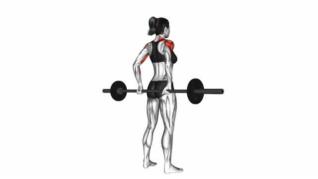 Trapezius